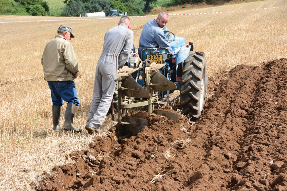 Lire la suite à propos de l’article Les Cultivateurs Roumains : Gardiens de la Terre et Innovateurs de l’Agriculture Moderne